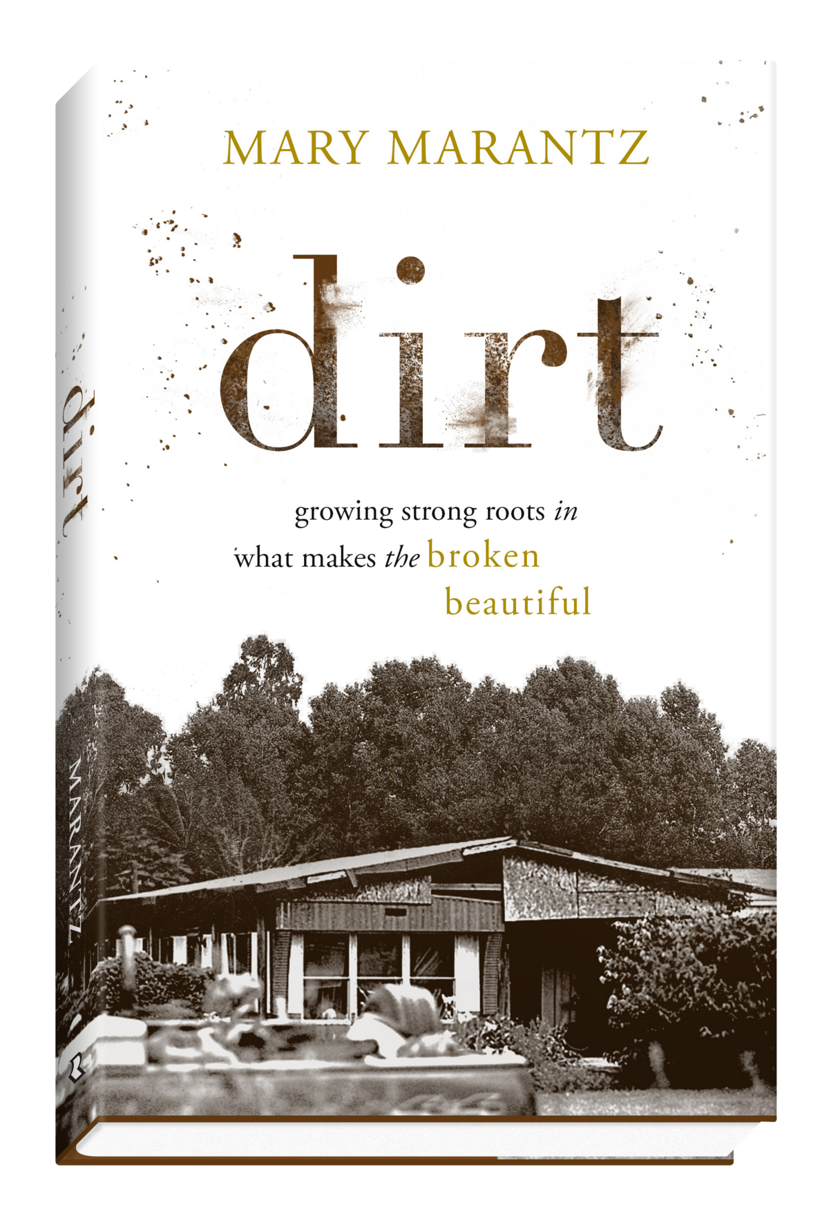 Book review of DIRT by author Mary Marantz